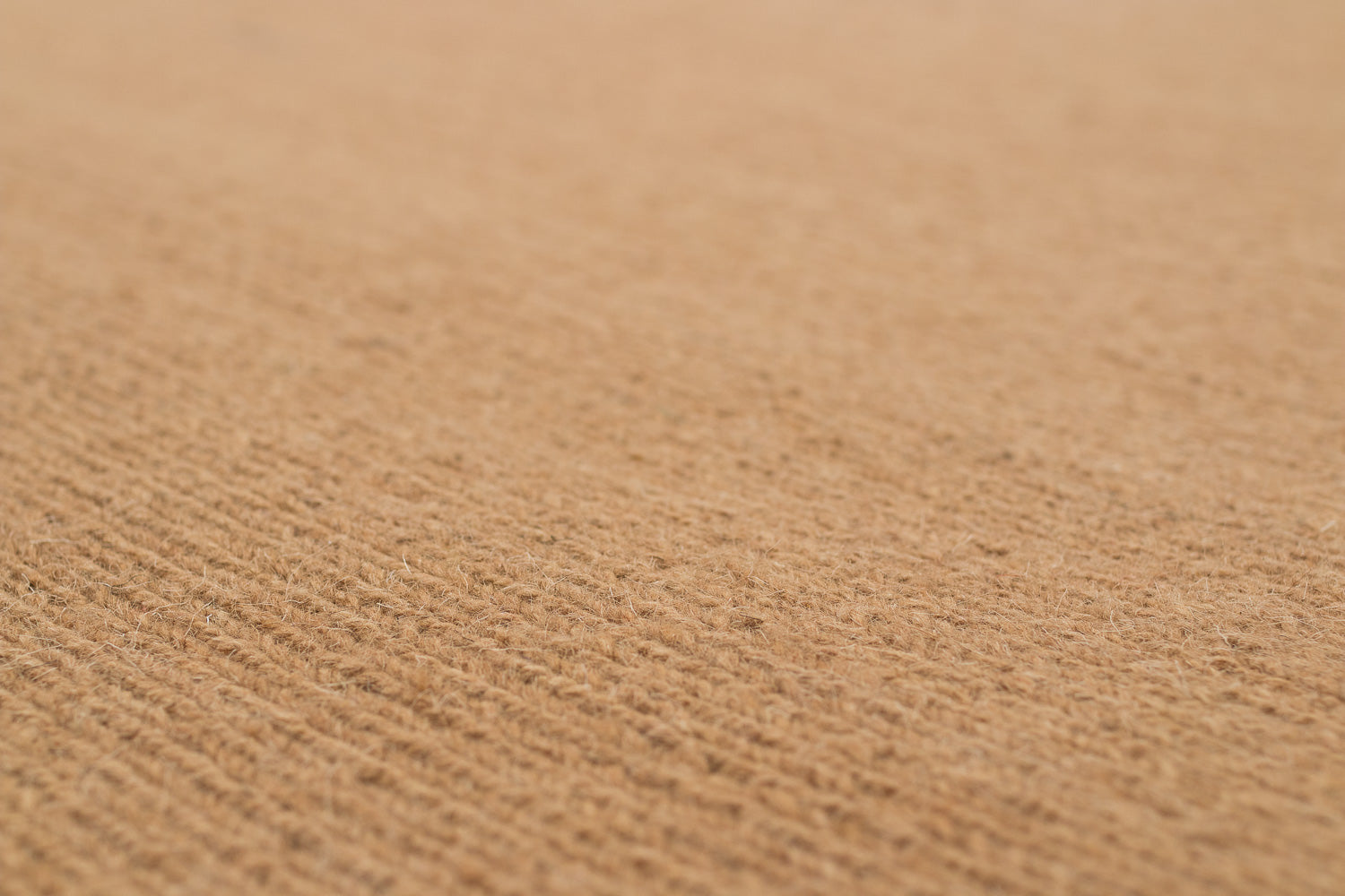 Solid Sumak Tan with Silk Border