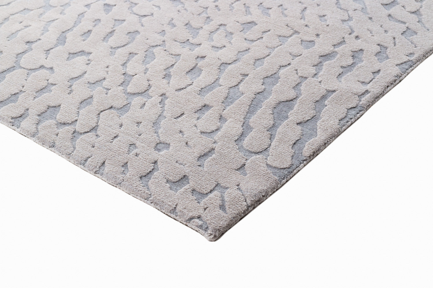 Bella Dream Surface