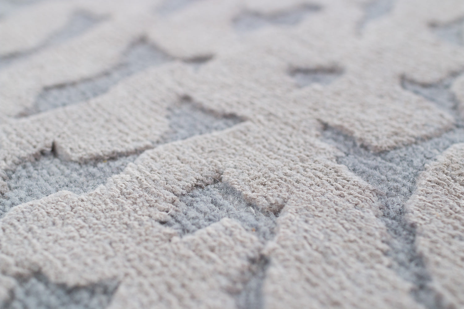 Bella Dream Surface