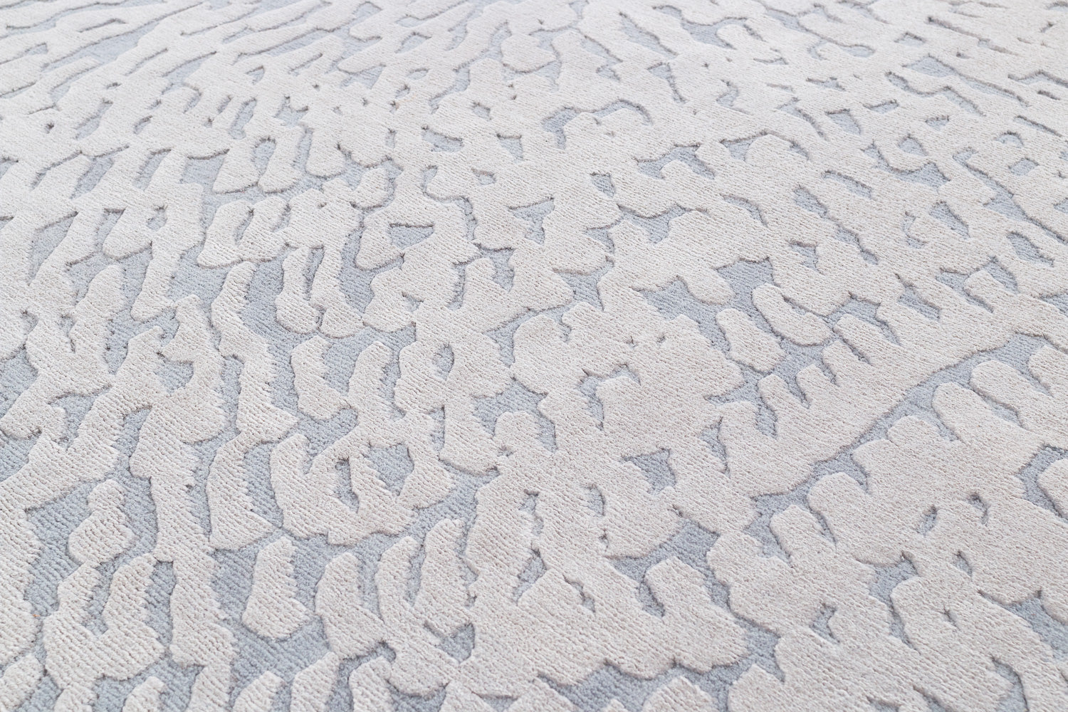 Bella Dream Surface