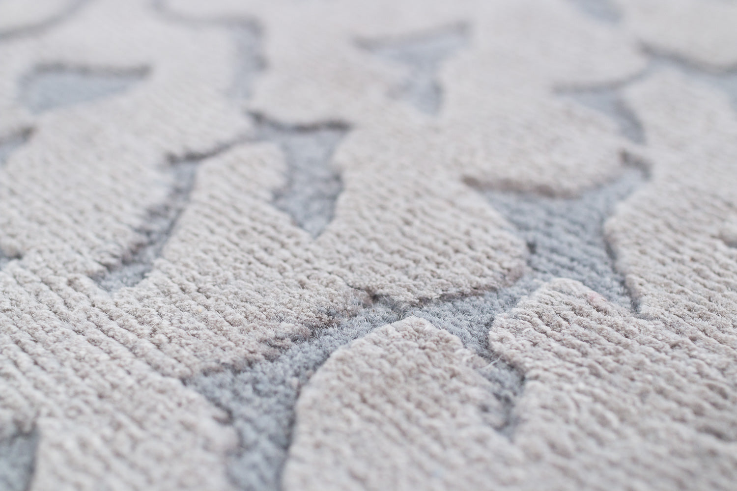 Bella Dream Surface
