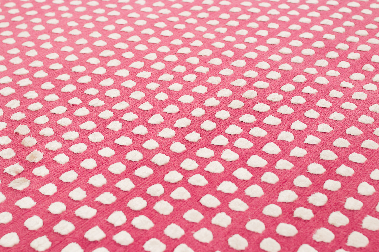 Dots Bloom